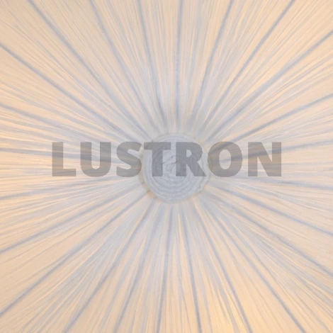 Потолочный светильник ST Luce Tessile SL351.052.05
