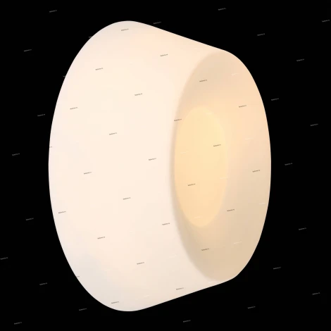 Потолочный светильник ST Luce Adatto SL296.502.02