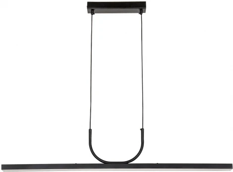 Подвесной светильник Favourite Raya 4096-1P (LED, 220V, на проводе)