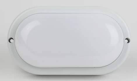 Настенно-потолочный светильник светодиодный ЭРА SPB-202-0-65K-008 (220V, IP65)