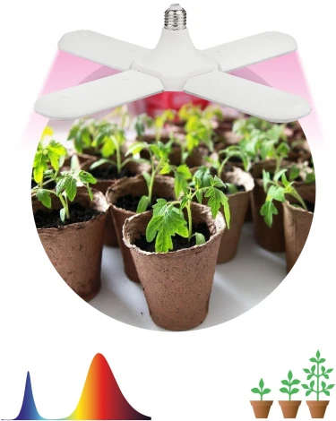 Фитолампа для растений светодиодная ЗРА FITO-36W-RB-E27-FOLD 4-х лепестковая красно-синего спектра 36 Вт ЭРА