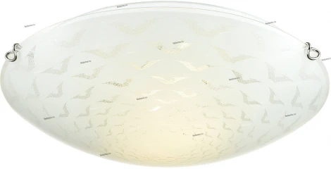 Настенно-потолочный светильник Sonex Dori 119/K