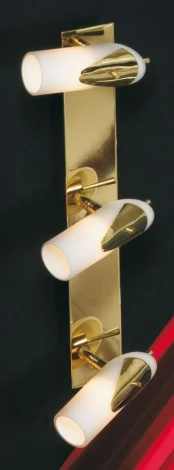 Настенно-потолочный светильник Lussole Gessate LSL-0401-03
