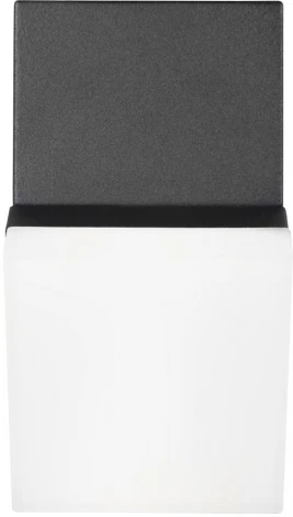 Уличные настенные светильники Loft It Eterno 100010/A (LED, 220V, IP54)