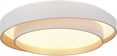 Потолочный светильник Evoluce Crosby SLE6009-502-01 Белый/Белый LED 1*50W 3000K/4000K/6000K