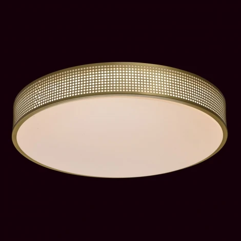 Потолочный светильник MW-Light Ривз 674015901