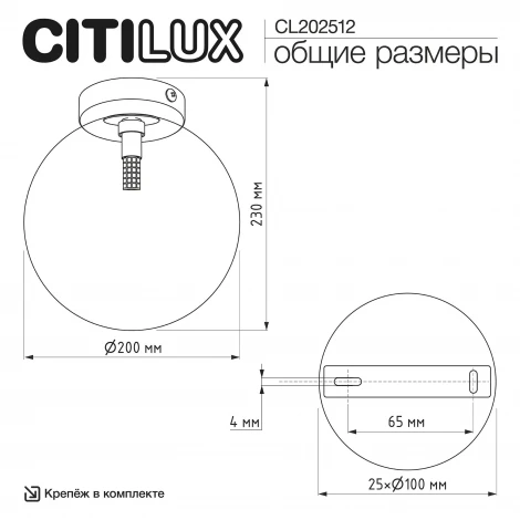 Потолочный светильник в форме шара Citilux Orton CL202512 (220V, шар)