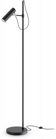 Торшер Maytoni Bansky MOD129FL-01B (220V, выключатель)