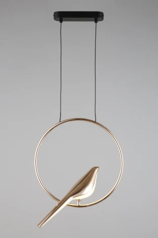 Подвесной светильник Aployt Astor APL.822.06.10 (LED, 220V, на тросе, кольцо, птички)