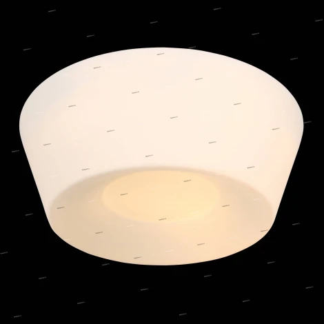Потолочный светильник ST Luce Adatto SL296.502.02
