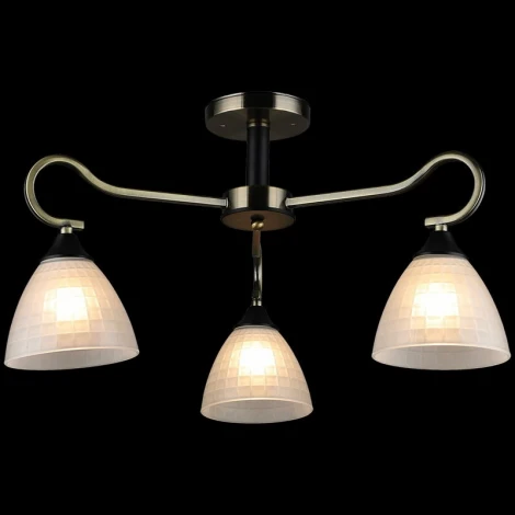 Потолочная люстра на штанге Reluce 03751-0.3-03 (220V)