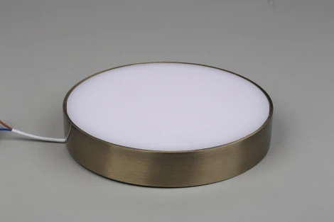 Потолочный светильник круглый Aployt Evon APL.0114.29.24 (LED, 220V, круглые)