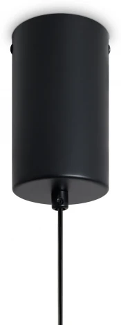 Подвесной светодиодный светильник Freya Lake FR6179PL-L6B (220V, на проводе)