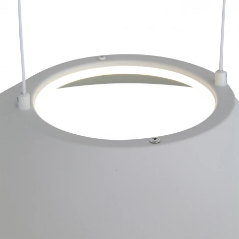 Подвесной светильник ST Luce Pitto SL427.513.01