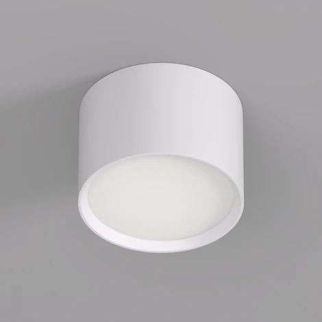 Накладной светильник Denkirs Lund DK2601-WH (220V, круглые)