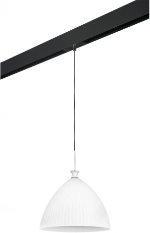 Трековый светильник однофазный 220V Lightstar Agola PRO810030