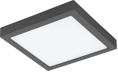 Потолочный светильник уличный Eglo Argolis-c 98174