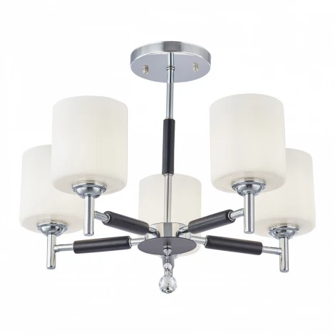 Потолочная люстра на штанге Arte Milano Napoli-2220 332220/5 CR