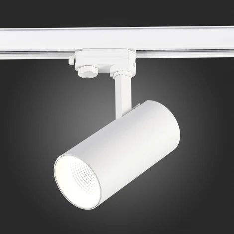 Трековый светильник трехфазный 220V ST Luce ST661 ST661.536.30 (LED, круглые)