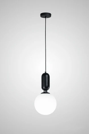 Подвесной светильник AM Group AM460 L200 BK (220V, на проводе, шар)