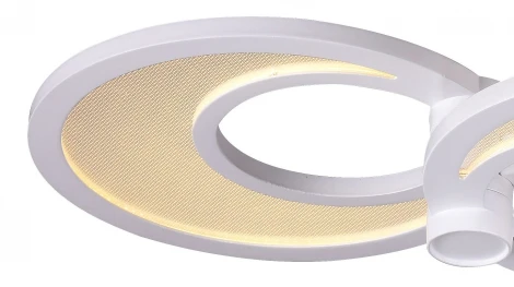 Потолочная люстра ST Luce Nola SL898.502.09