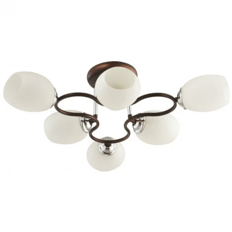 Потолочная люстра Toscom Rafaelo TC-992-906