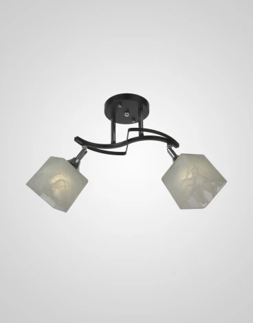 Потолочная люстра на штанге Мелодия Света SS1N P5507-2 BK 000050567