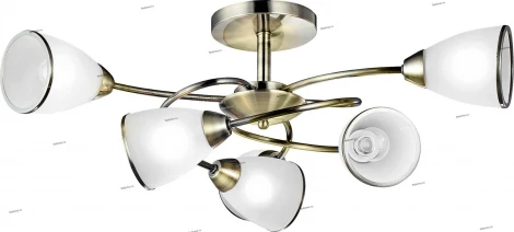 Потолочная люстра Arte Lamp Innocente A6059PL-6AB