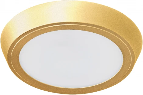 Настенно-потолочный светильник светодиодный Lightstar Urbano 216934 (220V, круглые, IP65)