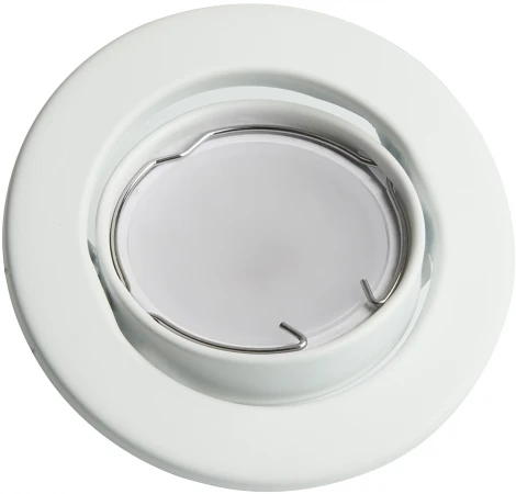 Светильник встраиваемый Feron DL11 48465 50W G5.3 белый (12V, круглые)