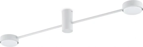 Потолочная люстра Freya Tactic FR5363CL-02W1 (220V)