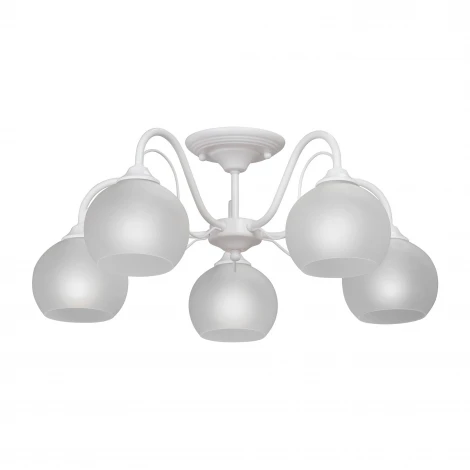 Потолочная люстра Vitaluce V3948-0/5PL