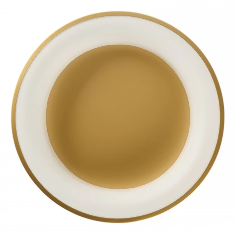 Потолочный светодиодный светильник круглый MyFar Shannon MR2195-1PL (220V, пульт управления, круглые, IP40)