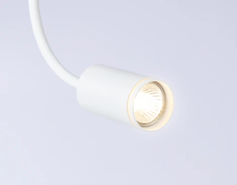 Настенно-потолочный светильник с выключателем Ambrella WALLERS FW2469 (220V)