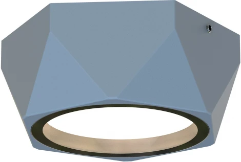 Потолочный светильник уличный Favourite Fantum 4669-1U (220V, круглые, IP54)