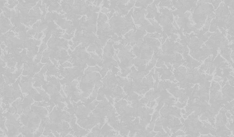 Обои виниловые Erismann Millennium 60015-04 10,05 x 1,06 м