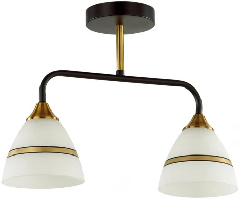 Потолочная люстра на штанге Nettie 5214/2CA черный, бронзовый E27 2*60W