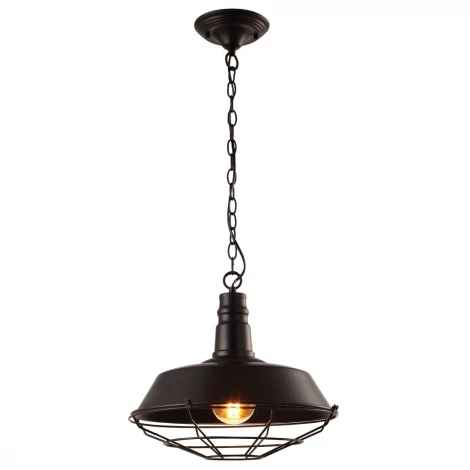 Подвесной светильник Arte Lamp Pandora A9183SP-1BK (220V, на цепи, круглые)