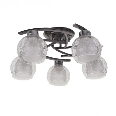 Потолочная люстра IDLamp Elezaveta 875/5PF-Darkchrome