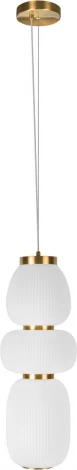 Подвесной светильник Loft It Duff 10422/C (LED, 220V, на тросе, круглые)