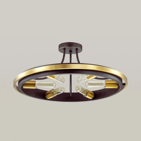 Потолочная люстра Lumion Maeve 4401/6C (220V, кольцо)