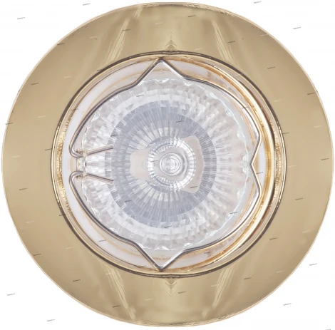 Встраиваемый точечный светильник Donolux N1505 N1505.50 (220V, круглые)