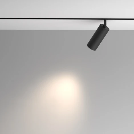 Трековый светильник магнитный 48V Maytoni Artisan TR097-2-12W4K-M-BB (LED, круглые)