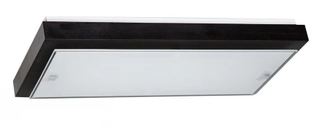 Настенно-потолочный светильник Дубравия Полина 199-41-22