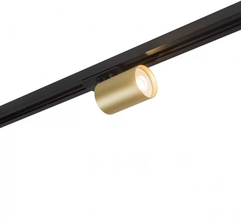 Трековый светильник Denkirs Tube DK6201-BG (220V)