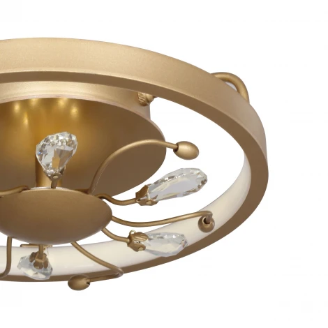 Потолочная люстра Favourite Waltz 2534-2C