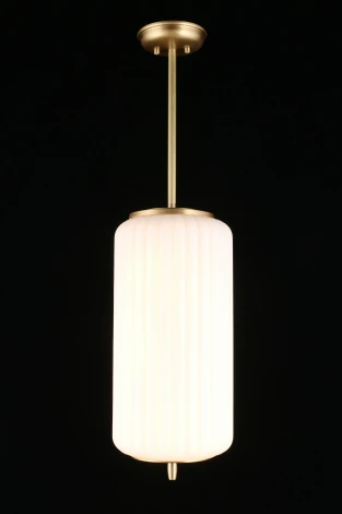 Подвесной светильник Aployt Sandra APL.807.06.06 (220V, круглые)