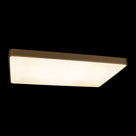 Потолочные светильники Loft It Flims 10228/E (LED, 220V)