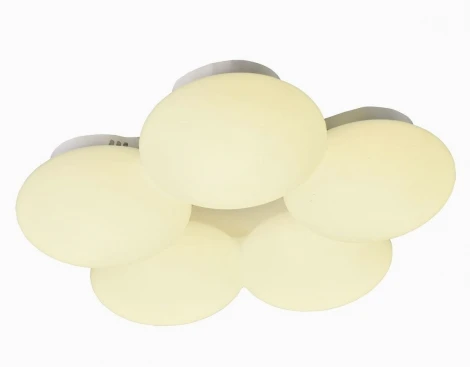 Потолочный светильник фигурный Мелодия Света SS1L 000024979