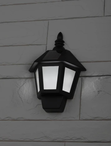 Настенный светильник уличный Эра ERAFS08-36